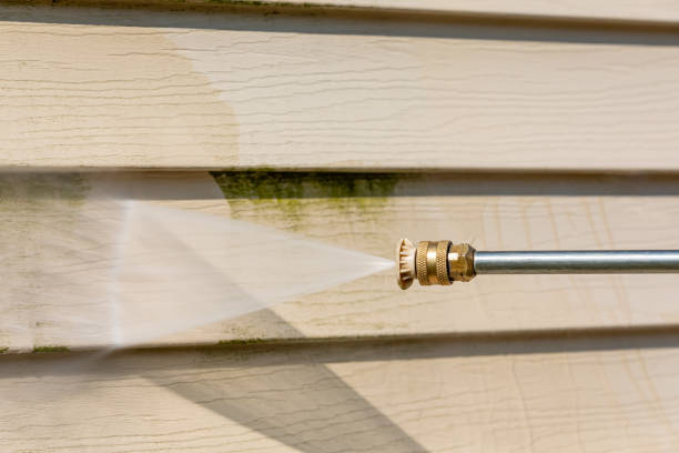 Best Local Pressure Washing Services  in Williams, CA