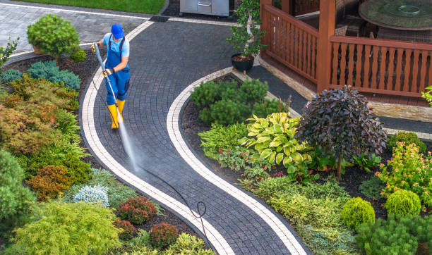 Best Affordable Pressure Washing  in Williams, CA