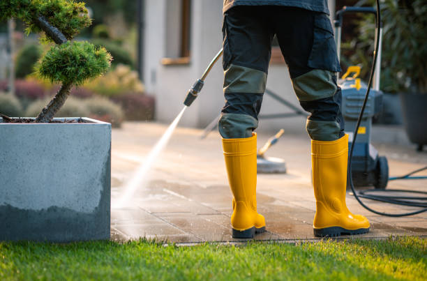 Pressure Washing Services for Businesses in Williams, CA